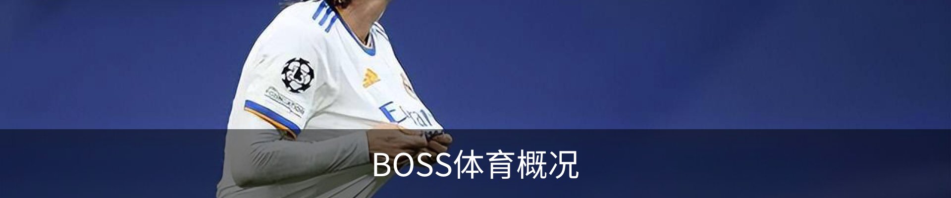 BOSS体育概况