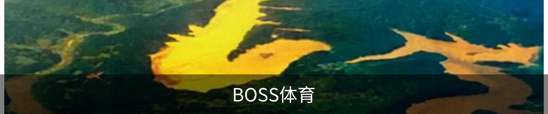 BOSS体育